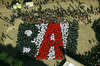Argazkia: 